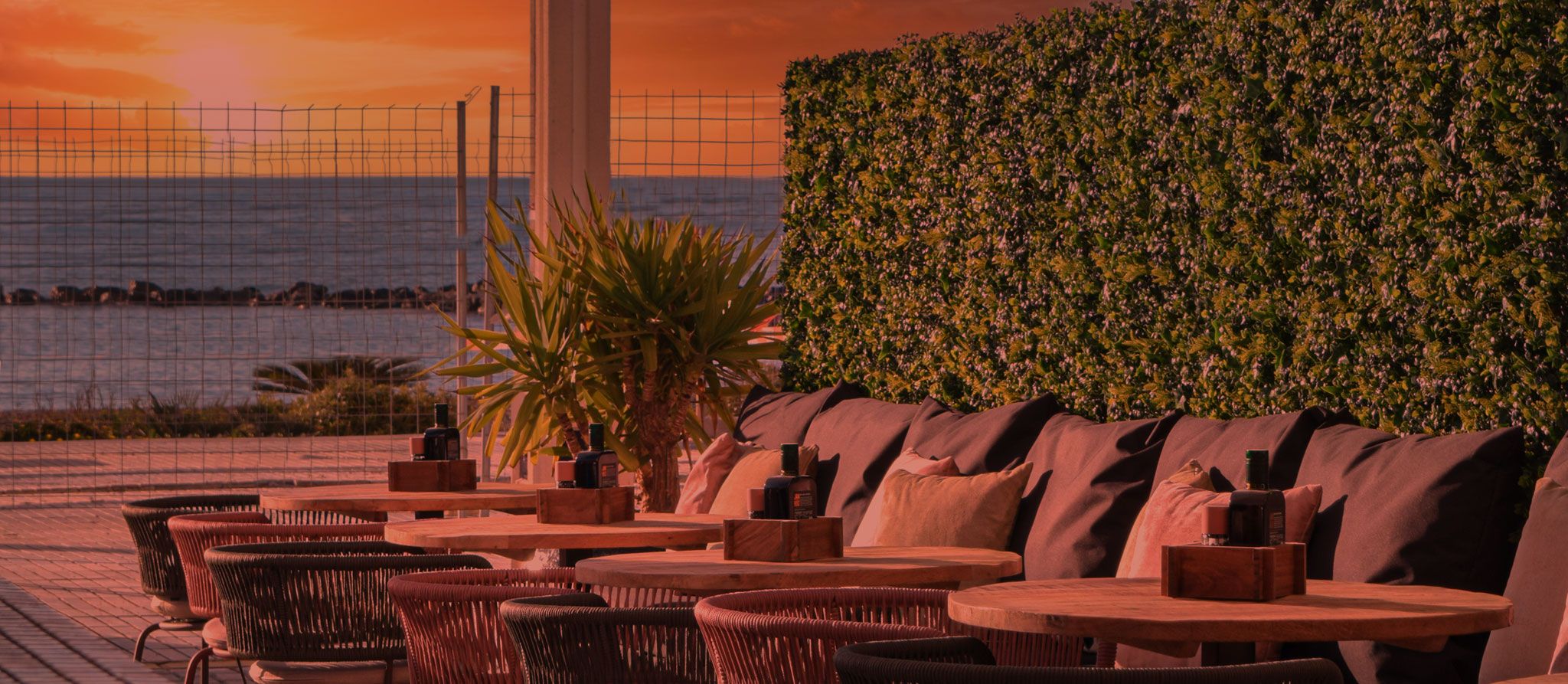 Tapas, drinks and laughter 